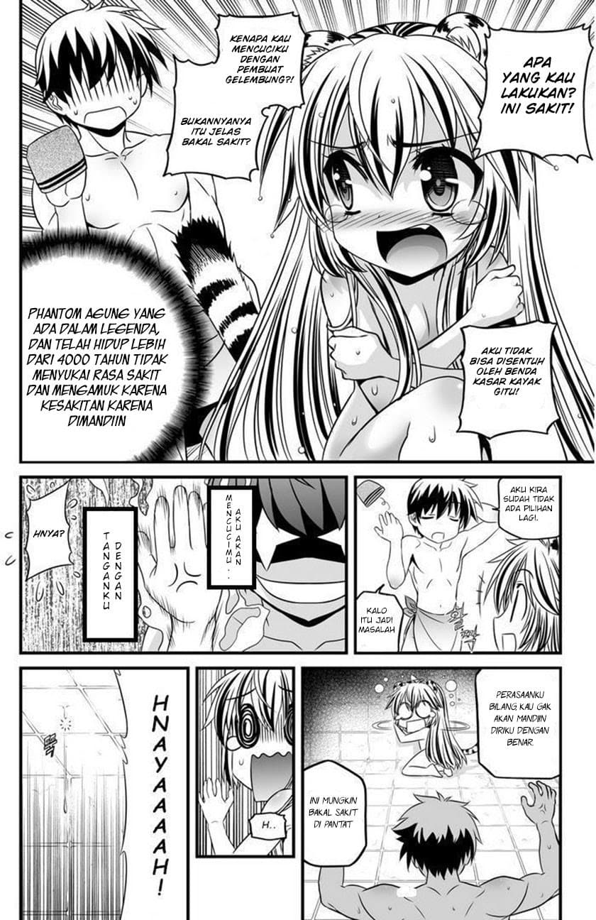 Chapter Komik
              My Love Tiger Chapter 07 - page 11