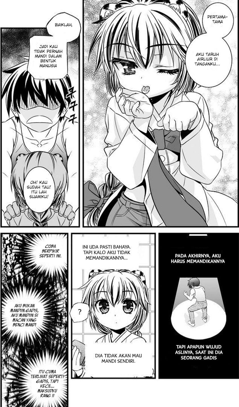 Chapter Komik
              My Love Tiger Chapter 07 - page 6